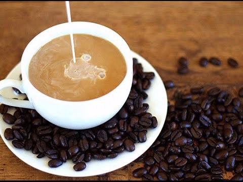 Salep